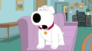 Brian Griffin Brian Griffin