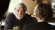 Wolfgang (Peter Simonischek)
