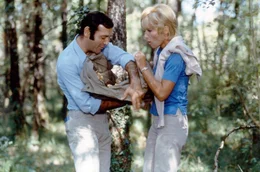 Popaul (Jean Yanne) und H&eacute;l&egrave;ne (St&eacute;phane Audran) haben eine sch&ouml;ne Zeit beim Pilzesammeln im Wald.