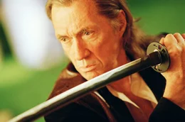 Bill (David Carradine) ist ein Meister im Umgang mit dem Schwert und beherrscht noch andere Kampfkunst-Techniken bis zur Perfektion.