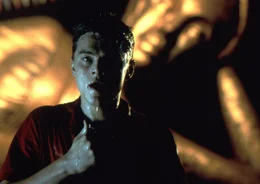 Leonardo DiCaprio als Richard