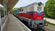 Bahn frei für die nächste Generation: Die Kindereisenbahn Budapest läuft unter der Regie von 10 – 14-jährigen Nachwuchs-Eisenbahnerinnen und Eisenbahnern. Bahn frei für die nächste Generation: Die Kindereisenbahn Budapest läuft unter der Regie von 10 – 14-jährigen Nachwuchs-Eisenbahnerinnen und Eisenbahnern.