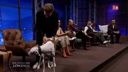 Cotti Horse Produktpr&auml;sentation