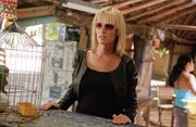 Die Rache der Braut (Uma Thurman) ist noch nicht vorbei. Noch muss sie Elle Driver und Budd umbringen, um sich dann Bill vornehmen zu k&ouml;nnen. Ein gef&auml;hrlicher Feldzug beginnt ...