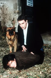 "Kommissar Rex", "Der Voyeur." Durch Zufall beobachtet der Voyeur Albin Mahler den Mord an einer Frau. Mahler kann das Geschehen fotografieren und versucht nun den Mörder zu erpressen. Doch schon kurz darauf geschieht ein weiterer Mord. Während Kommissar Brandtner und Rex fieberhaft nach dem Täter suchen, gerät Albin Mahler zunehmend in Lebensgefahr. Im Bild (v.li.): Fritz Karl (Gustav Kuhn), Gedeon Burkhard (Alexander Brandtner). "Kommissar Rex", "Der Voyeur." Durch Zufall beobachtet der Voyeur Albin Mahler den Mord an einer Frau. Mahler kann das Geschehen fotografieren und versucht nun den Mörder zu erpressen. Doch schon kurz darauf geschieht ein weiterer Mord. Während Kommissar Brandtner und Rex fieberhaft nach dem Täter suchen, gerät Albin Mahler zunehmend in Lebensgefahr. Im Bild (v.li.): Fritz Karl (Gustav Kuhn), Gedeon Burkhard (Alexander Brandtner).