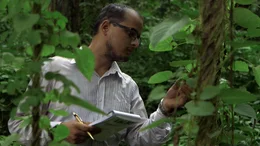 . .