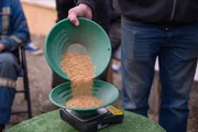 Rick Ness pouring gold Rick Ness pouring gold