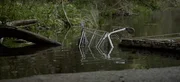 Talleda soll den Leichnam der Frau über zwei Wochen aufbewahrt haben, bevor er ihn mit einem Einkaufswagen zum Fluss gebracht und ins Wasser geworfen hat. Talleda soll den Leichnam der Frau über zwei Wochen aufbewahrt haben, bevor er ihn mit einem Einkaufswagen zum Fluss gebracht und ins Wasser geworfen hat.