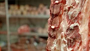 Fleisch.