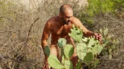 Ed Stafford.Ed picking prickly pear fruit