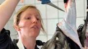 Katharina Jaeschke hat nach dem Abitur ihren Agrarbetriebswirt in G&uuml;strow gemacht und dann gemeinsam mit ihrer Mutter eine ehemalige Strau&szlig;enfarm bei Rostock gekauft. Nun baut sie sich ihren eigenen Schaf- und Ziegenhof auf.
