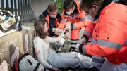 Haase ( Fabian Harloff, 2.v.l.) und seine Kollegen (Komparsen) leisten erste Hilfe bei einem Mädchen (Polina Schmal, l.), das halb bewusstlos von einem Arbeiter der Müllabfuhr gefunden wurde. Haase ( Fabian Harloff, 2.v.l.) und seine Kollegen (Komparsen) leisten erste Hilfe bei einem Mädchen (Polina Schmal, l.), das halb bewusstlos von einem Arbeiter der Müllabfuhr gefunden wurde.