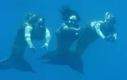 Emma (Claire Holt, li.), Cleo (Phoebe Tonkin, Mitte) und Rikki (Cariba Heine, re.) als Meerjungfrauen auf dem Weg nach Mako Island. Emma (Claire Holt, li.), Cleo (Phoebe Tonkin, Mitte) und Rikki (Cariba Heine, re.) als Meerjungfrauen auf dem Weg nach Mako Island.