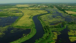 Entlang der Peene wurden bereits 10.000 ha intensiv-Gr&uuml;nland renaturiert. So entsteht im Naturpark Flusslandschaft Peene eines der gr&ouml;&szlig;ten Niedermoorgebiete in Mitteleuropa.