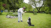 Hündin Meixi beim Spielen mit Katharina Baumgartners Sohn Philip im Garten. Hündin Meixi beim Spielen mit Katharina Baumgartners Sohn Philip im Garten.