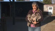 ARD/NDR SPÜRNASE, FÄHRTENSAU & CO. (1), "Mamas Rockzipfel", Jagdhundausbilderin Kerstin Westhoff mit dem P-Wurf von Mecklenburg. ARD/NDR SPÜRNASE, FÄHRTENSAU & CO. (1), "Mamas Rockzipfel", Jagdhundausbilderin Kerstin Westhoff mit dem P-Wurf von Mecklenburg.