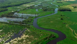 Der Fluss Tollense ist zum Teil noch unverbaut. Das Flugbild zeigt die Landschaft und ihre &Auml;sthetik.