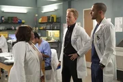 (v.l.n.r.) Dr. Miranda Bailey (Chandra Wilson); Dr. Thomas Koracick (Greg Germann); Dr. Jackson Avery (Jesse Williams)