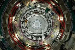 Die Kernfusion wird anl&auml;sslich der Klimakrise immer bedeutender, um saubere Energie herzustellen.