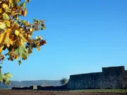 Zwischen Rhein und Donau wurden die Provinzen Germania Superior und Raetien durch den Limes nach Osten und Norden hin abgegrenzt. Zwischen Rhein und Donau wurden die Provinzen Germania Superior und Raetien durch den Limes nach Osten und Norden hin abgegrenzt.