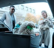 Mina (Shaunette Renée Wilson, l.) und Nic (Emily VanCamp, r.) hoffen mit Hundewelpen auf der Kinderstation für Freude sorgen zu können Mina (Shaunette Renée Wilson, l.) und Nic (Emily VanCamp, r.) hoffen mit Hundewelpen auf der Kinderstation für Freude sorgen zu können