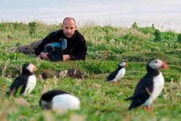 Tierfilmer Hans-Peter Kuttler beim Dreh in einer Papageientaucher-Kolonie.