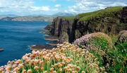 Im Fr&uuml;hling &uuml;berziehen Wildblumen die schroffen K&uuml;sten mit sanften Farben.