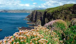 Im Fr&uuml;hling &uuml;berziehen Wildblumen die schroffen K&uuml;sten mit sanften Farben.