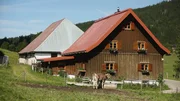 Wir machen eine Reise zu den sch&ouml;nsten und &auml;ltesten Bauernh&ouml;fen Bayerns, dabei geht es von Marquartstein in den Chiemgauer Alpen nach Riedenburg ins Altm&uuml;hltal, dann nach Bayreuth und schlie&szlig;lich nach Unterfranken. Im Bild: Der Allg&auml;uer Paarhof.