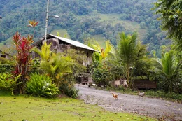 Garten von Anna Randolf Gstir