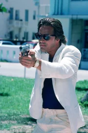 Im Kampf für die Gerechtigkeit: Sgt. Sonny Crockett (Don Johnson) Im Kampf für die Gerechtigkeit: Sgt. Sonny Crockett (Don Johnson)