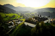 Artischockenernte