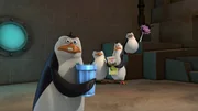 v.li.: Rico, Skipper, Kowalski, Private v.li.: Rico, Skipper, Kowalski, Private