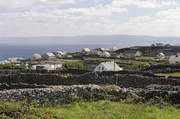 Die Aran-Inseln im Atlantik vor der Westk&uuml;ste Irlands sind seit 3.000 Jahren besiedelt und von einem Netz aus Steinmauern &uuml;berzogen.