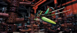 Mantis.