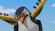 Skipper Skipper