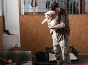 Ferdinand Aschbrenner (Oliver Scheffel) fegt im Katzengehege Streu zusammen und kümmert sich liebevoll um die Gäste der Tierpension. Ferdinand Aschbrenner (Oliver Scheffel) fegt im Katzengehege Streu zusammen und kümmert sich liebevoll um die Gäste der Tierpension.
