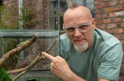 Evolution kennen wir als etwas, das sich über Millionen von Jahren vollzieht. Das muss allerdings nicht sein. Thomas D wirft den Blick auf eine Saumfingereidechse und zeigt, wie die Art in nur zwei Generationen ihr Aussehen dauerhaft veränderte und warum - bei „Wissen vor acht – Natur“. Evolution kennen wir als etwas, das sich über Millionen von Jahren vollzieht. Das muss allerdings nicht sein. Thomas D wirft den Blick auf eine Saumfingereidechse und zeigt, wie die Art in nur zwei Generationen ihr Aussehen dauerhaft veränderte und warum - bei „Wissen vor acht – Natur“.