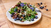 Die heutige Vorspeise: Gemischter Salat mit Blaubeeren und Dill. Eine mutige Kombination, die sich lohnt! (Weitere Bilder auf Anfrage)