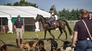 Pferdeglück im Südsee-Camp. Auf Luna warten im Campingplatz-Reitstall ein Pferd und eine neue Aufgabe. Die 15jährige Luna möchte an einer „Schleppjagd“ teilnehmen. Dazu müssen sich Pferd und Reiter an die laute Hundemeute gewöhnen. Pferdeglück im Südsee-Camp. Auf Luna warten im Campingplatz-Reitstall ein Pferd und eine neue Aufgabe. Die 15jährige Luna möchte an einer „Schleppjagd“ teilnehmen. Dazu müssen sich Pferd und Reiter an die laute Hundemeute gewöhnen.