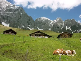 Der Hochk&ouml;nig, mit 2.941 Metern h&ouml;chster Gipfel der Salzburger Kalkhochalpen, &uuml;berragt einen Lebensraum von erlesener Sch&ouml;nheit. Der Berg hat zwei Gesichter: ein friedvolles, ruhiges von Norden; ein zerfurchtes, zerkl&uuml;ftetes von S&uuml;den. Die umliegende Natur- und Kulturlandschaft des Pinzgau und Pongau mit ihren Almb&ouml;den und W&auml;ldern portr&auml;tiert Bernd Seidel im Winter und Fr&uuml;hsommer - in jenen Jahreszeiten, in denen diese Bergwelt ihre ganze Sch&ouml;nheit hervorzaubert.