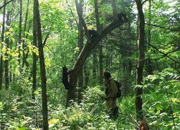 T&auml;glich f&uuml;hrt Reno Sommerhalder die B&auml;renwaisen in den Wald