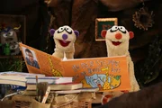 Jan & Henry lesen ein spannendes Buch.