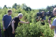 Einen besonderen &bdquo;Flavour-Kick&ldquo; holt sich Sternekoch Alexander Herrmann (2. von links) auf seinem Road Trip ins Alpenvorland. Bei Ben Boysen (links) in Kolbermoor dreht sich alles um den Wacholder &ndash; die Basis f&uuml;r seinen selbstgebrannten Gin. Die reifenden Wacholderbeeren an den Str&auml;uchern sind Inspiration f&uuml;r ein besonderes Gericht.