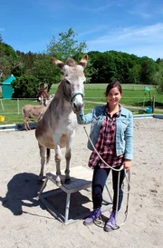 Anna läuft mit Esel Walli einen Hindernisparcour. Weiteres Bildmaterial finden Sie unter www.br-foto.de. Anna läuft mit Esel Walli einen Hindernisparcour. Weiteres Bildmaterial finden Sie unter www.br-foto.de.