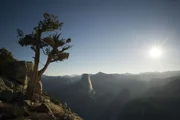 Der Yosemite Nationalpark bedeckt eine Fl&auml;che von &uuml;ber 3.000 km&sup2;.