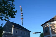 Maibaum.