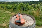 Darf beim Wiener Lied nicht fehlen: die Geige.