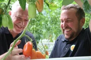Sie gilt als &bdquo;vermutlich beste Tomate der Welt&ldquo; &ndash; und Alexander Herrmann (links) ist ihrem Geheimnis auf der Spur. F&uuml;ndig wird der fr&auml;nkische Sternekoch nicht in Italien, sondern vor den Toren M&uuml;nchens: In Neufarn bei Vaterstetten (Kreis Ebersberg) kultiviert G&auml;rtner Florian B&ouml;ck (rechts) in einem 18.000 Quadratmeter gro&szlig;en Gew&auml;chshaus rund 15 verschiedene Tomatensorten, darunter die legend&auml;re San-Marzano-Tomate aus S&uuml;ditalien.