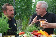 In Neufarn bei Vaterstetten (Kreis Ebersberg) kultiviert G&auml;rtner Florian B&ouml;ck (links) in einem 18.000 Quadratmeter gro&szlig;en Gew&auml;chshaus rund 15 verschiedene Tomatensorten, darunter die legend&auml;re San-Marzano-Tomate aus S&uuml;ditalien. Bei seinem Besuch entdeckt Alexander Herrmann (rechts) weitere kulinarische Sch&auml;tze aus der G&auml;rtnerei, etwa Florians geschmacksintensive gefriergetrocknete Tomaten, exotische Auberginen und Miniatur-Gurken.